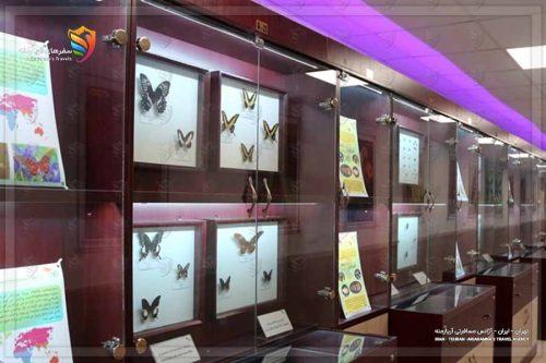 موزه حشره شناسی تهران