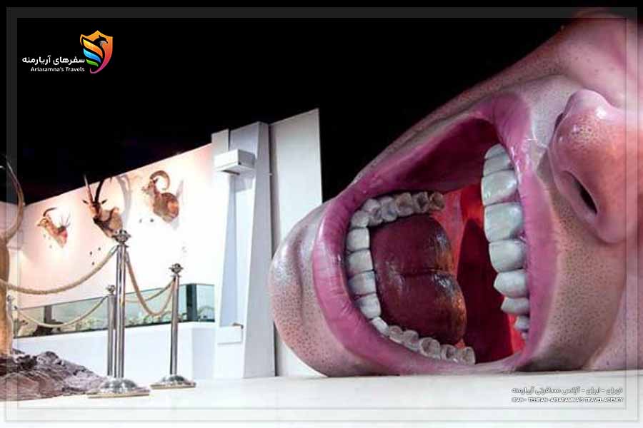 ورودی هیومن پارک تهران