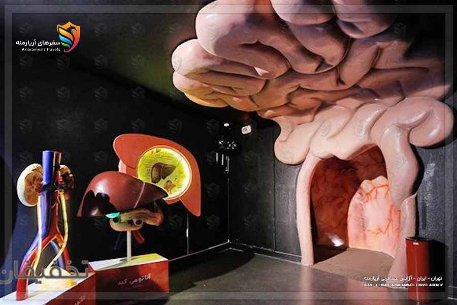 نمایی از هیومن پارک تهران